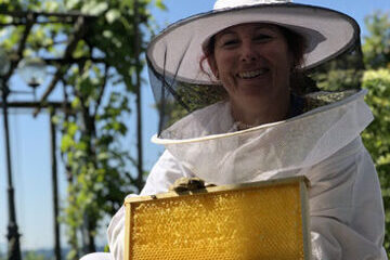 Goldsiegel-Honig aus eigener Imkerei