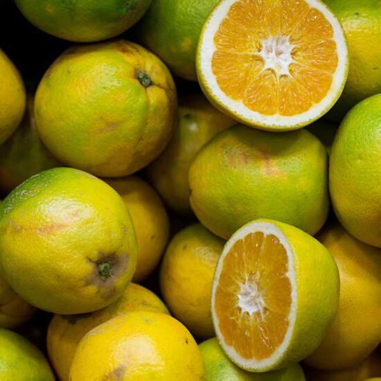 Orangen-Zitronenseife