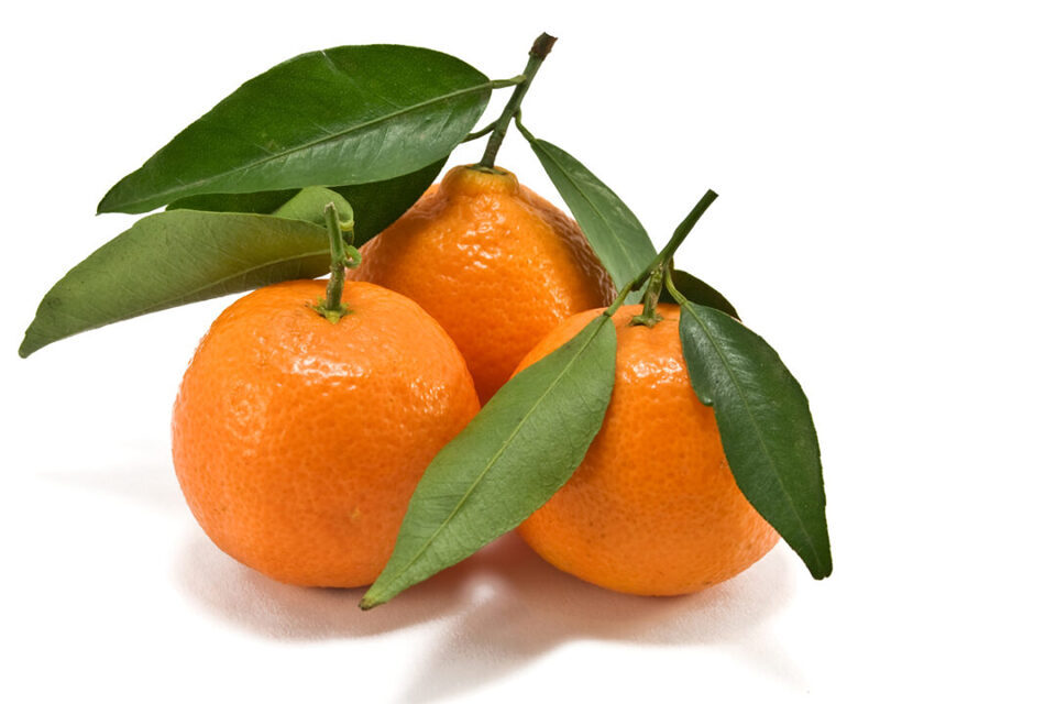 Orange<br>Gourmetsenf