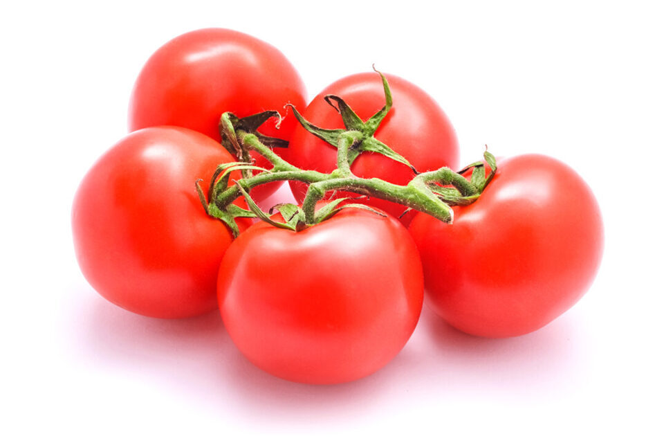 Tomate<br>Gourmetsenf